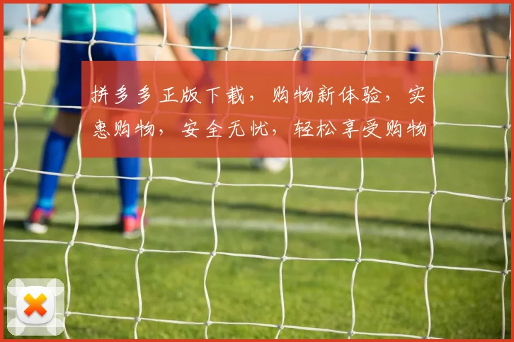 拼多多正版下载，购物新体验，实惠购物，安全无忧，轻松享受购物乐趣，三个必看理由