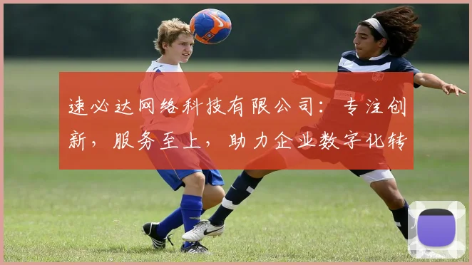 速必达网络科技有限公司：专注创新，服务至上，助力企业数字化转型，成就未来