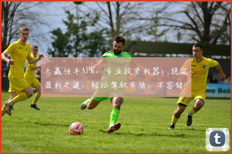 久赢恒丰APK，专业投资利器，稳定盈利之道，轻松驾驭市场，不容错过