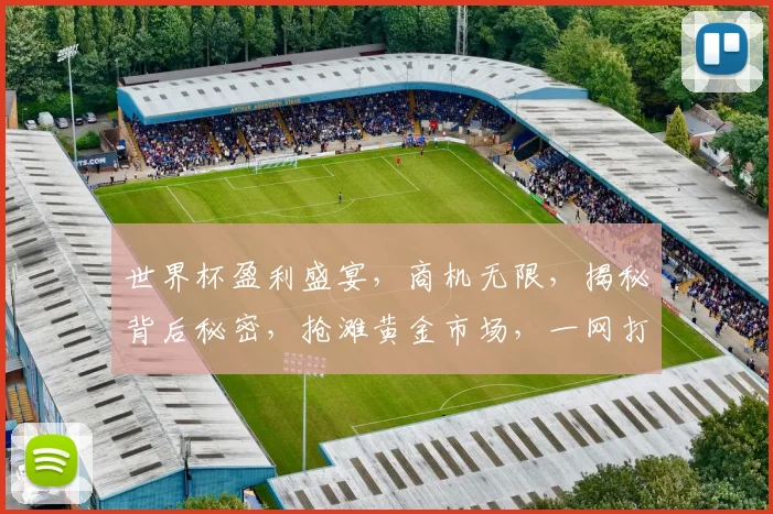 世界杯盈利盛宴，商机无限，揭秘背后秘密，抢滩黄金市场，一网打尽