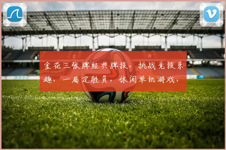 金花三张牌经典牌技，挑战竞技乐趣，一局定胜负，休闲单机游戏，玩转棋牌乐